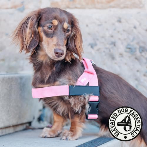 Dog Friendly Co. Dog Harness for Large Dogs (Pink, Large) | One Click Buckle, Chafe Resistant Webbing, Adjustable Neck & Chest, and Heavy Duty D-Ring, Sturdy Comfortable and Easy to Use - Image 6
