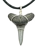 Sunken Hunter Fossilized Lemon Shark Tooth Necklace for Boys on Adjustable Black Cord