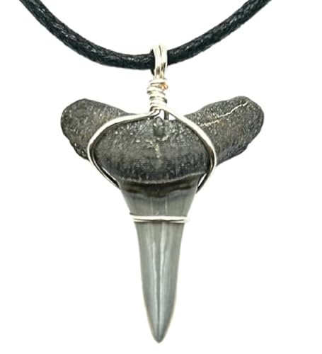 Sunken Hunter Fossilized Lemon Shark Tooth Necklace for Boys on Adjustable Black Cord