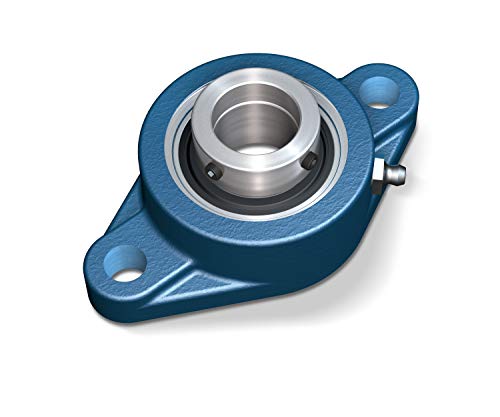 SKF F2B 100-RM Ball Bearing Flange Unit, 2 Bolts, Set Screw Locking, Regreasable, Contact Seal, Cast Iron, 1