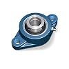 SKF F2B 104-RM Ball Bearing Flange Unit, 2 Bolts, Set Screw Locking, Regreasable, Contact Seal, Cast Iron, 1-1/4 Bore, 5-1/8 Bolt Hole Spacing, 5730lbf Dynamic Load Capacity