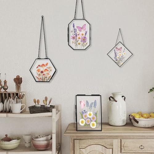 Cadre fleurs pressées double verre noir | Déco murale cabinet de curiosité - 6
