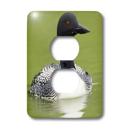 Cache de prise multicolore 3dRose LSP_62429_6 pour decoration murale - 2