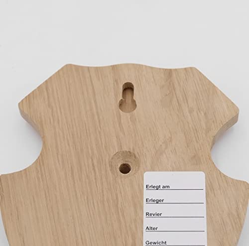 Generisch 5 Stück REH Trophäenschilder Stumpf klein in Eiche Hell AF 19 cm x 11 cm mit 5 Stück Gehörnklammern