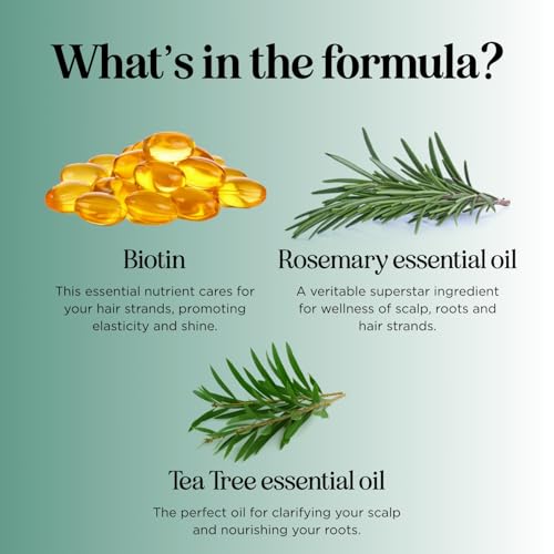 Image of Volumizing Biotin and Rosemary Shampoo - Vegan Rosemary Biotin Shampoo for Thinning Hair for Women and Men with Nourishing B Vitamins & Tea Tree Oil - Paraben Silicone & Sulfate Free (32 Fl Oz)