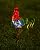GDF 20" Chicken Decor - Outdoor Rooster Decor Solar Lights -Metal Rooster Garden Decorations for Yard Pathway Lawn Patio Courtyard for Her/Him (Updated)