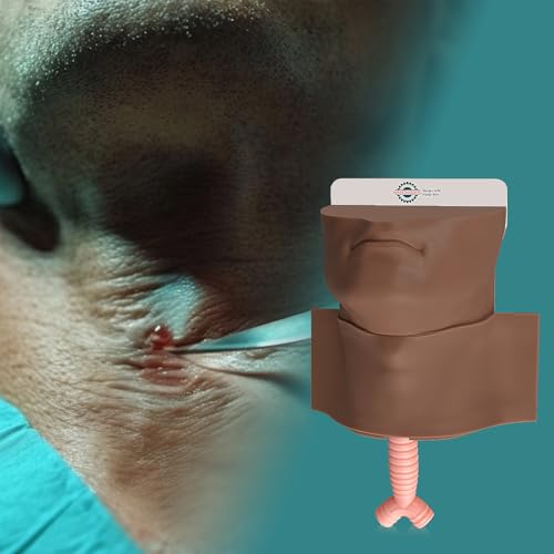 Image of Cricothyrotomy Task Trainer, Cricothyrotomy Simulator Cricothyrotomy and Tracheostomy Trainer - Dark Skin