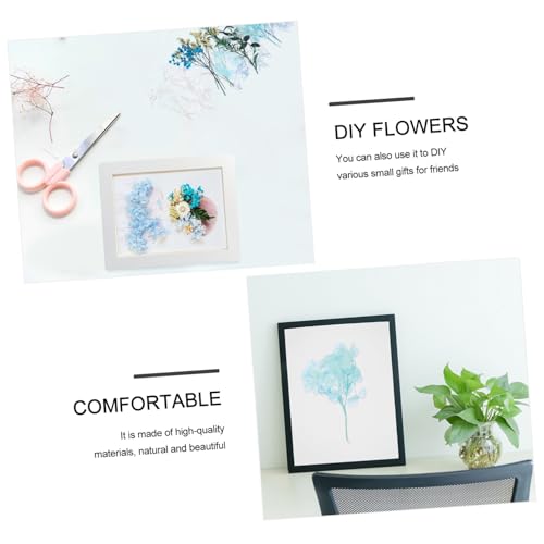 Flores secas prensadas para manualidades DIY miniatura 7