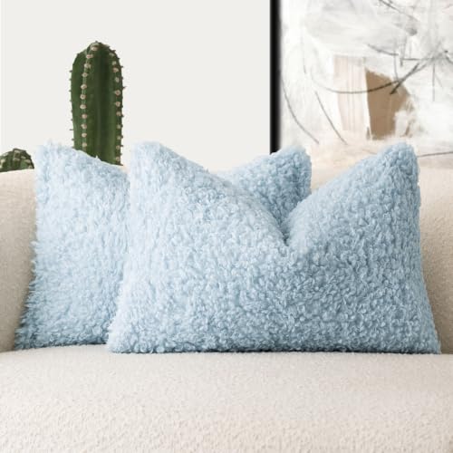Image of Foindtower Set of 2 Curly Teddy Wool Pillow Covers Decorative Boucle Textured Lumbar Throw Pillow Faux Fur Sherpa Pillowcases Sheepskin Fuzzy Cushion Case for Sofa Bedroom Car 12 inchx20 inch Sky Blue