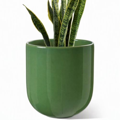 LE TAUCI 10 Inch Plant Pot, Ceramic Pots for Plants, Bamboo Green