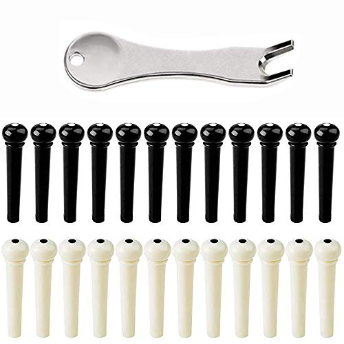 NON-SQUARE 24 PCS Plastic Acoustic Guitar Bridge Pins Pegs with Bridge Pin Puller Remover, Ivory & Black.