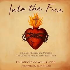 Into the Fire: Intimacy, Mission, and Miracles Audiolibro Por Patrick Gonyeau arte de portada
