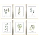 Golden State Art, marcos clásicos de aluminio satinado