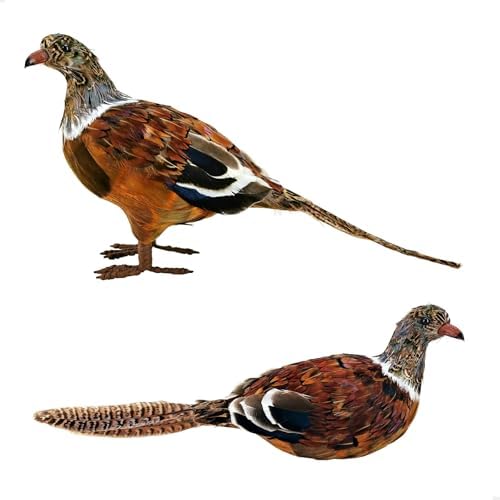 naturevibe Feathered Pheasant Decor Set of 2 for Autumn Fall Than...