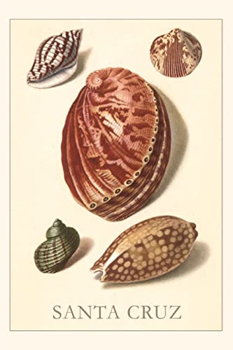 Vintage Journal Santa Cruz Shells (Pocket Sized - Found Image Press Journals)