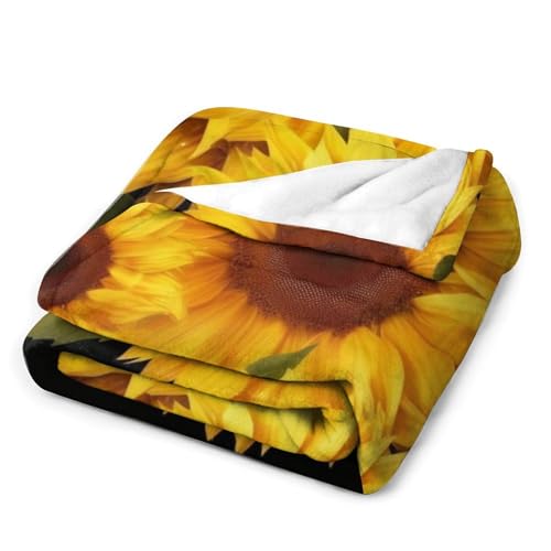 Couverture en flanelle douce de prestige drap de lit artistique papillons