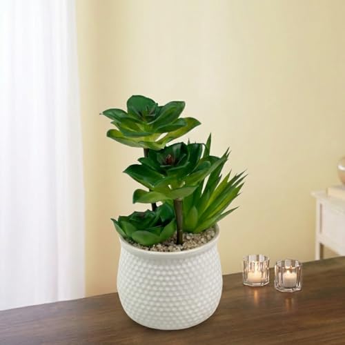 Artificial Succulent Plant in White Ceramic Pot, Realistic Faux G...