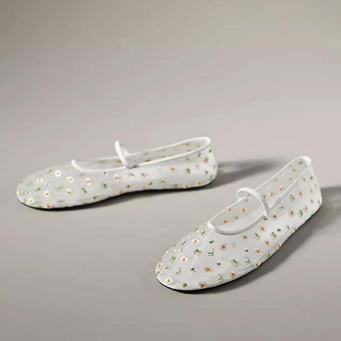 Image of Nude Mesh Ballet Flats for Women Tulle Floral Embroidered Mary Jane Ballerina Round Toe Comfortable Daily Dress Ballet Flats Shoes with Strap