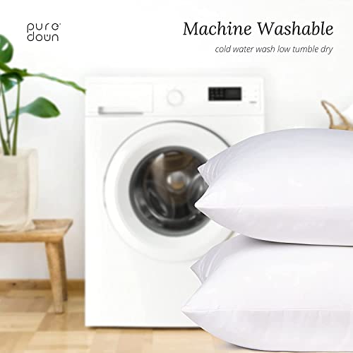 puredown® Euro Pillow Inserts 24 x 24 (Pack of 2, White), Feather Down Pillow Stuffer, White Throw Pillows for Bed, Couch, and Cushion