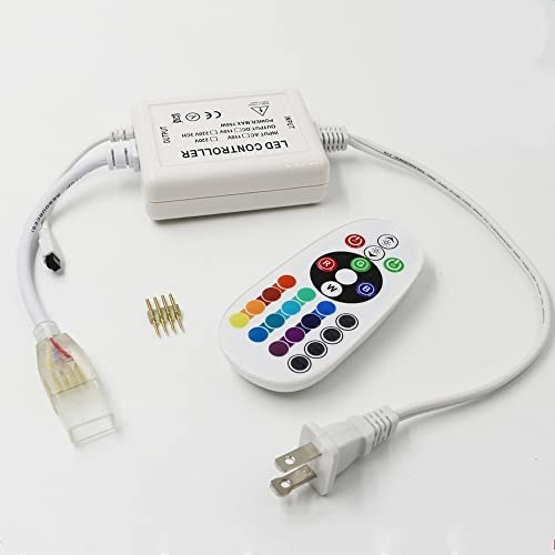 IEKOV Max 750W Adaptador fuente AC 110V a DC 110V con control remoto miniatura 1