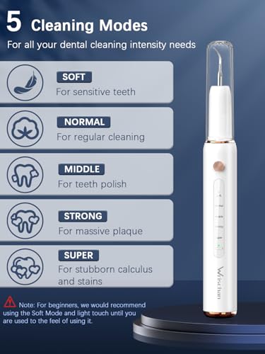 Wrischan Zahnsteinentferner, Zahnreiniger für Haustiere, Hund Zahnreinigung Kit, 5 einstellbare Modi 4 austauschbare Köpfe, Katzen Zahnreinigung Tools, Hund Zahnreinigung Set mit LED-Licht