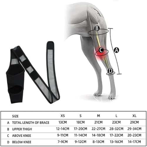 CiCixixi Hunde Kniebandage Hinterbein, Hunde Kniebandage, Hunde Hinterbein Bandage Hunde Klammer Hinterbein Hunde-Kniestütze für Hunde Klammer Hinterbein (L)