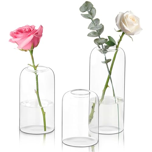 Winter Shore Juego de Floreros Cristal (Pack de 3) - Jarron Cristal Decoracion Pequeño, Mediano y Grande - Florero Cilíndrico Minimalista - Juego de Floreros Transparentes Decorativos para la Mesa