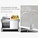 Outdoor Utility Laundry Sink with Mobile Cabinet & Faucet - Heavy-Duty Commercial Fish Cleaning Station for Garage, Restaurant, Laundry Room (47.24