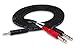 Hosa CMP-159 3.5 mm TRS to Dual 1/4" TS Stereo Breakout Cable, 10 Feet, Black, 1-Pack, Laptop