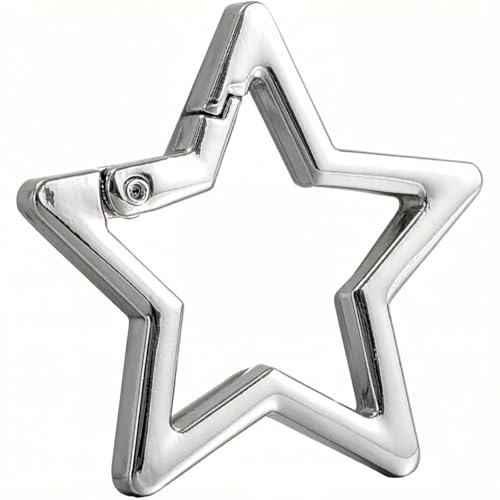 Star Design Stainless Steel Keychain Carabiner, Snap Hook Key Holder with Chain Rings, Wallet Accessory