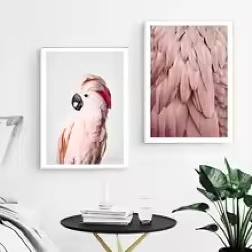 Affiche perroquet plume rose pour sublimer votre intérieur