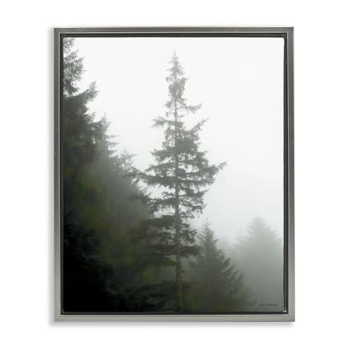 Majestic Pine Foggy Forest, 17 x 21 Inch Canvas in Floater Frame