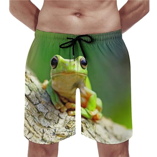 Maillot de bain séchage rapide homme short vert grenouille léger pour piscine