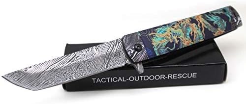 Snake Eye Tactical Every Day Carry Folding Knife | Outdoor Survival Pocket Knife | Small one-Hand Knife Made of Stainless Steel Blade| Ideal for Recreational Work Hiking Camping (Blue Dragon)