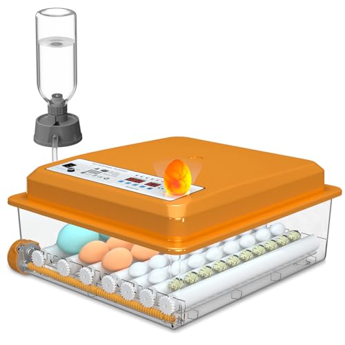 Chalixion Couveuse Oeuf Automatique 36 Oeufs, Couveuse Oeuf Contrôle Température, Incubateur de 5 Modes d'incubation Automatiques, Affichage Humidité,...