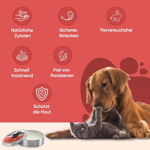 Nasen & Pfotenbalsam für Hunde & Katzen - Für trockene, rissige Nasen & Pfoten im Sommer - 60ml Pfotenpflege & Nasenbalsam mit Lavendelöl, Bienenwachs, Vitamin E - Nasensalbe & Pfotenschutz - animigo