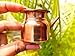Hijet Beautiful Copper Jalneti,Abhishek Patra/Lota/Jaldhara Pot Blessings Wealth Inspiration Vastu Compassion Good Luck.