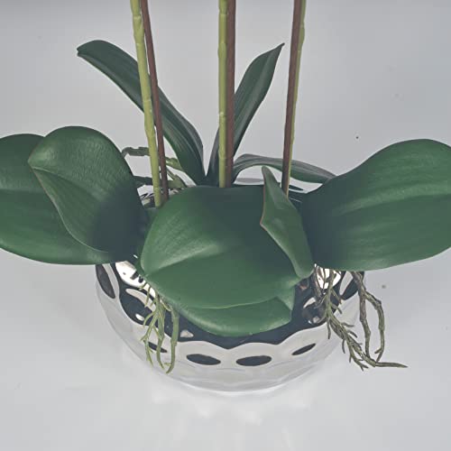 W&W Artificial Orchid Plants & Flowers Arrangement In Ceramic Pot, Fake Faux White Orchid With Silver Vase, Faux Orchids For Home Decor Indoor #TOP3