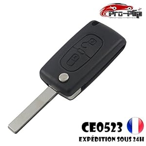 Plip draadloze sleutelbehuizing met 2 knoppen