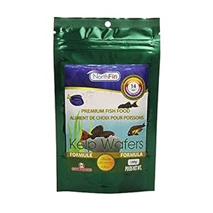 North Fin Kelp Wafers Fish Food 14mm, 100g