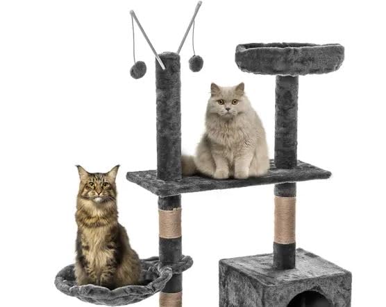 Tiragraffi Per Gatti FENIXSHOP24 - Albero 150 Cm Con Cuccia E Rivestimento In Sisal - Foto 11