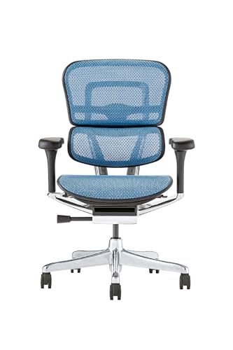 Ergohuman PRO2 EHP2-LAM-DR-BF-BL [�u���[]