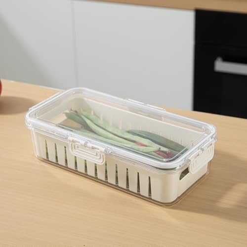 Image of HOKIPO BPA Free Food Grade Plastic Fridge Storage Containers with Lid - Crisper Containers for Fresh Vegetables, Fruits & Food | Freezer & Kitchen Organizer Set for Home Use (AR-6100)