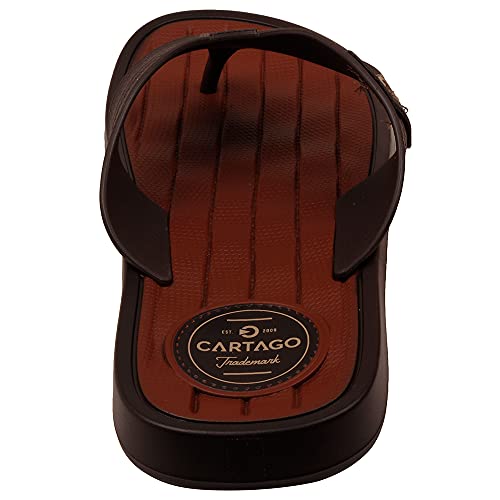 Chinelo Masculino Grendene Cartago Gales 11835 Grendene Cartago Gales 11835 - Mrr/Mrr/Bege 42