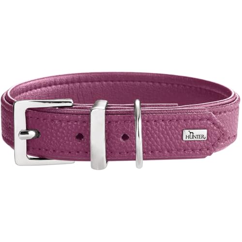 Collier pour chien Sofia rembourré pour éviter les irritations au cou - 2