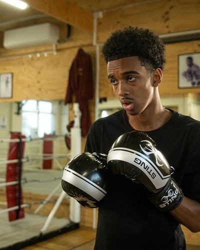 Image of STING Boxing - Armalite Boxing Gloves | for Competition & Training (10OZ, Black /Silver)