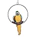 Design Toscano Polly in Paradise Parrot Hanging Bird Ring Perch Indoor/Outdoor Statue, Medium 14 Inch Tall, Cast Stone Resin, Blue Yellow Finish
