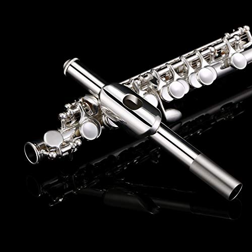 Eastar EPC-2S Silver Plated Piccolo Key of C 2-Piece with Hard Case Cleaning Rod, Cloth, Swab and Gloves