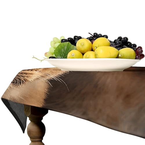Nappe rectangulaire lion d'Afrique 140 cm imperméable et antitache pour table de cuisine - 7