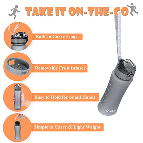 Oldley Kids Water Bottle For School With Straw Chug Lid, 15 Oz Unbreakable Leak-Proof Bpa-Free Motivational Water Bottles With Time Marker For Travel Sports Gym, 2 Lids, Grey #TOP3